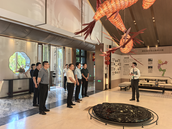 寿县县委常委、、副县长房鲲鹏一行到访省康健养老公司