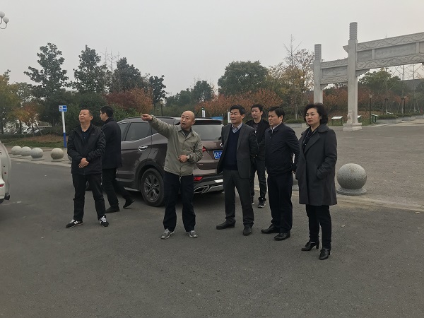 夏萍、、、程保银实地调研徽盐地产在建项目