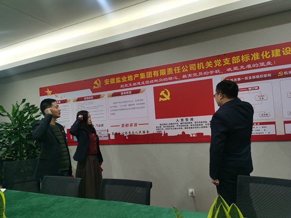 安徽8827太阳集团地产集团机关第一党支部开展“佩党徽、诵誓词、赠党章、上党课”党员教育活动