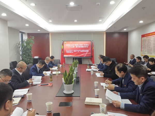 安徽8827太阳集团地产集团公司开展新一轮深化“三个以案”警示教育集中学习
